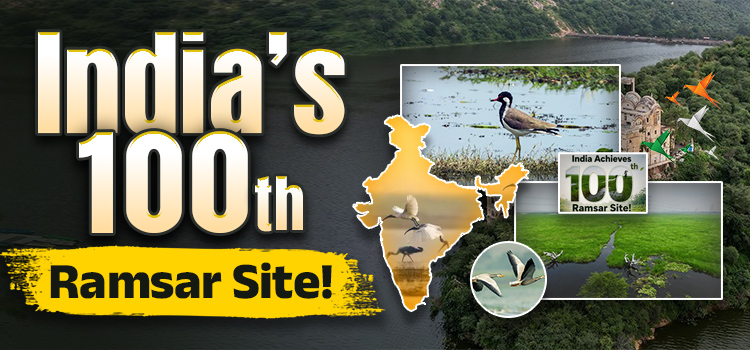 India Achieves Landmark: Surha Tal Becomes the 100th Ramsar Site